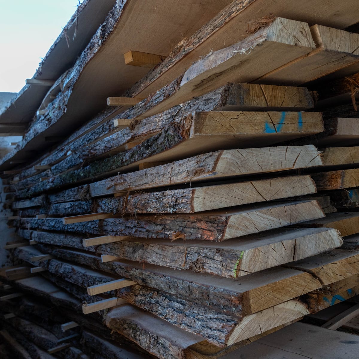 Unedged lumber