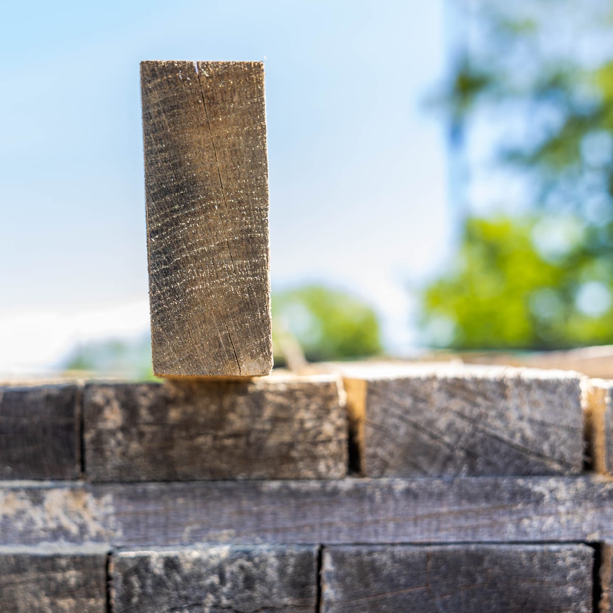 The grain of a wine barrel stave