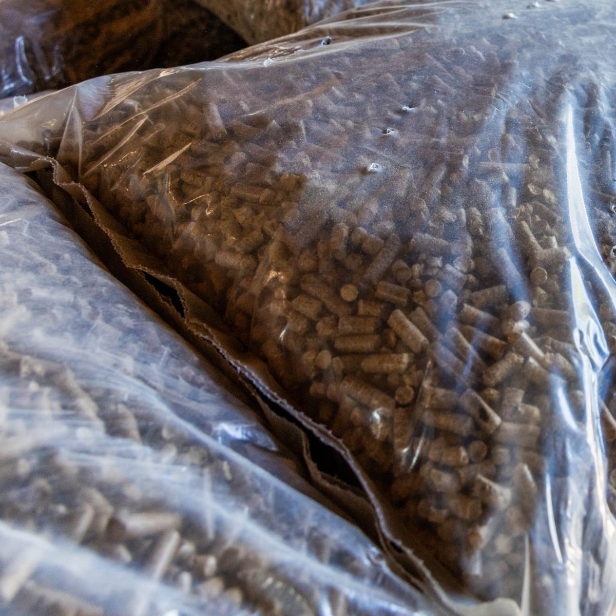 Pellets made from oak