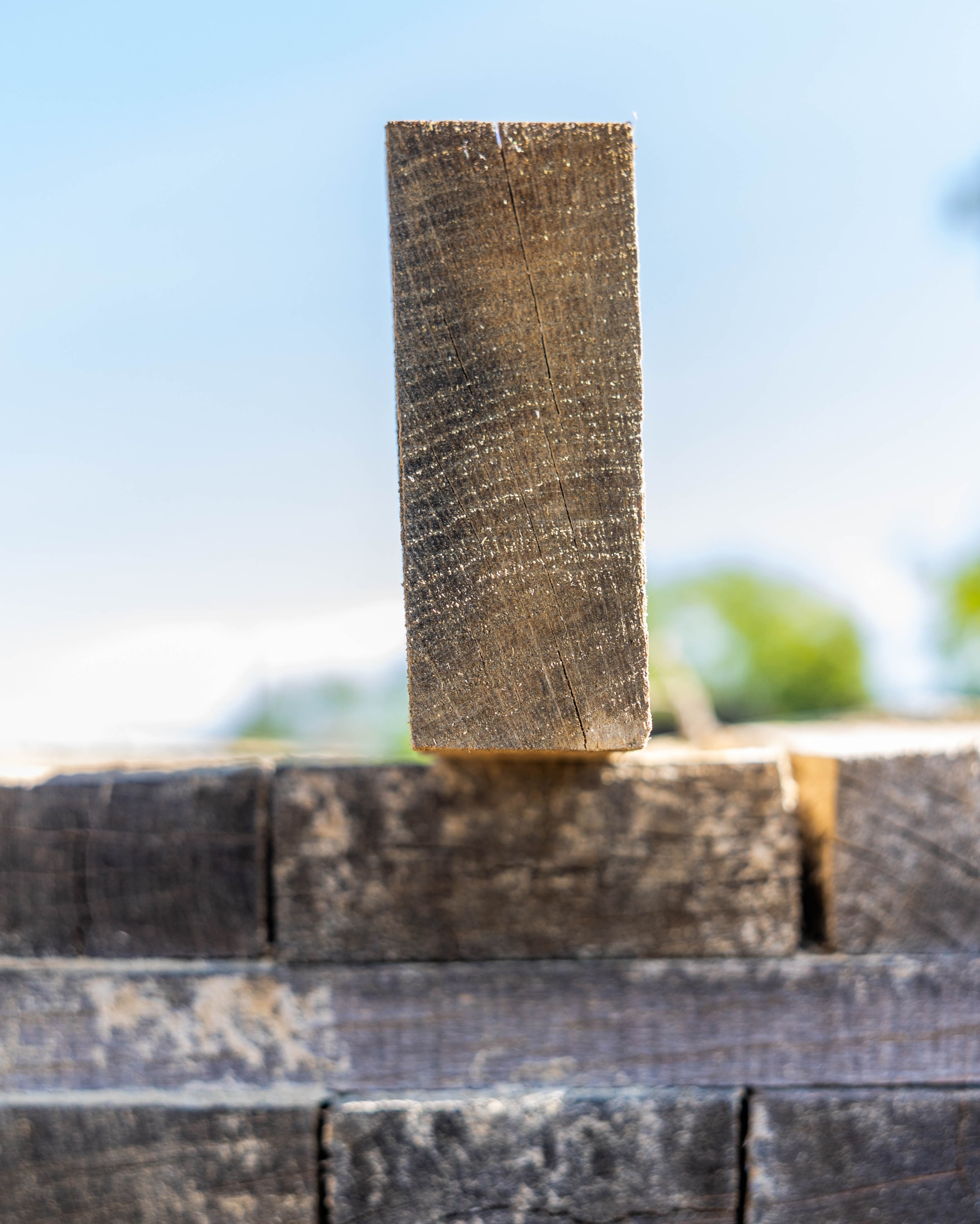 An oak stave stood upright on a stack of staves air-drying outdoors